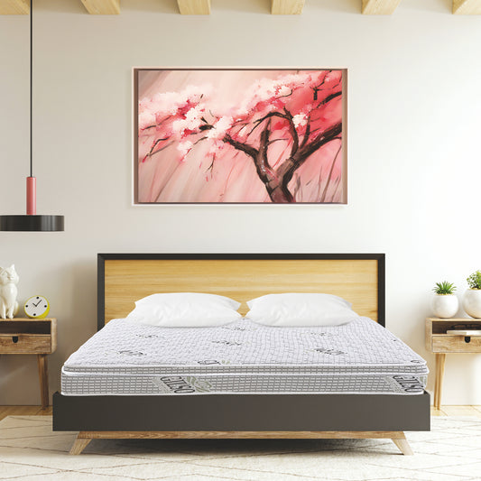 Ruby Plus Europedic Plush Comfort 8 Inch Single Bonnel Spring Mattress (72x30x8)